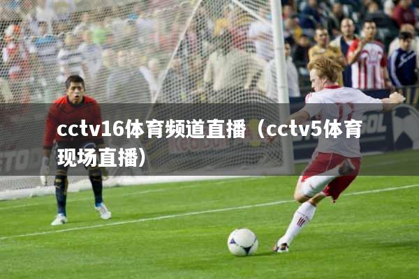 cctv16体育频道直播（cctv5体育现场直播）
