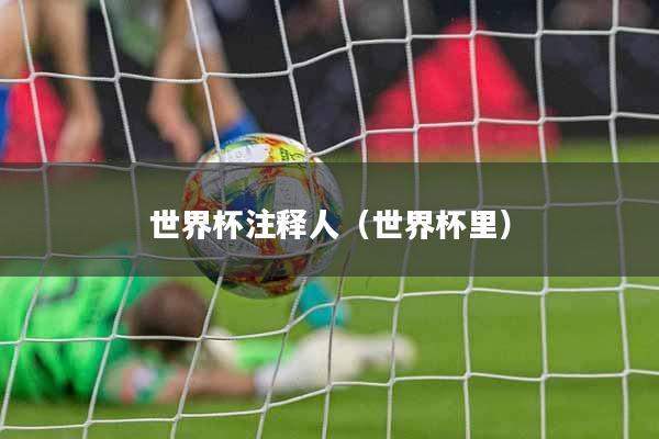 世界杯注释人（世界杯里）