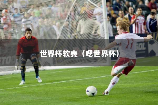 世界杯软壳（嗯世界杯）