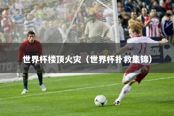 世界杯楼顶火灾（世界杯扑救集锦）