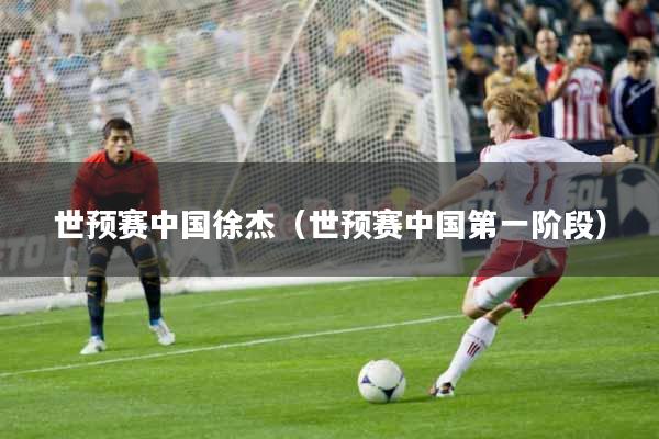 世预赛中国徐杰（世预赛中国第一阶段）