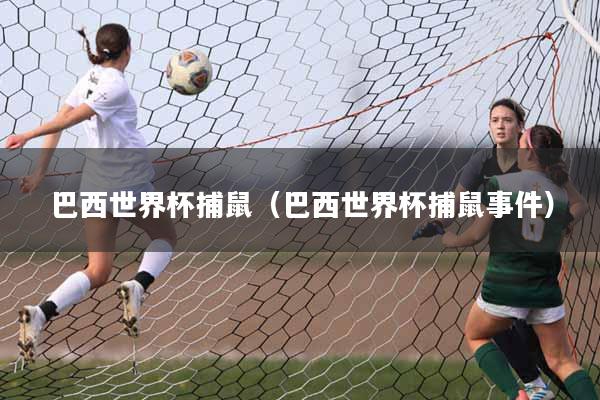 巴西世界杯捕鼠（巴西世界杯捕鼠事件）