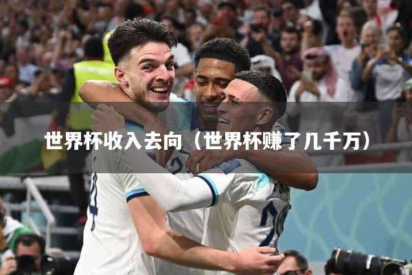 世界杯收入去向（世界杯赚了几千万）