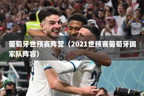 葡萄牙世预赛阵营（2021世预赛葡萄牙国家队阵容）