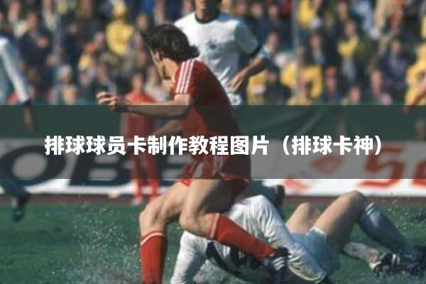 排球球员卡制作教程图片（排球卡神）