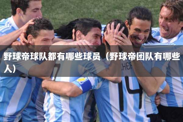 野球帝球队都有哪些球员（野球帝团队有哪些人）