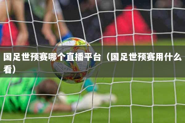 国足世预赛哪个直播平台(国足世预赛用什么看)